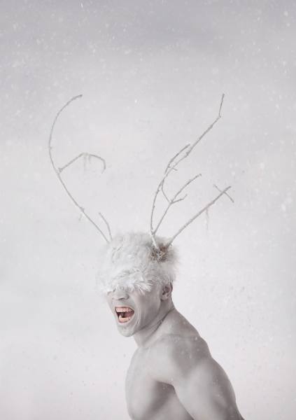 Photograph Ashlea Wessel Wild Xxi on One Eyeland
